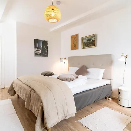 Hafenkoje Mit Blick Ueber Hafen Und Altstadt Flensborg